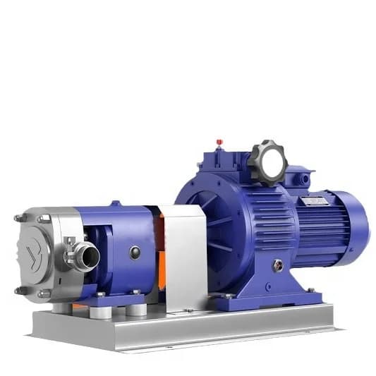 Small Oil Gear Pump Stainless Steel Gear Pump