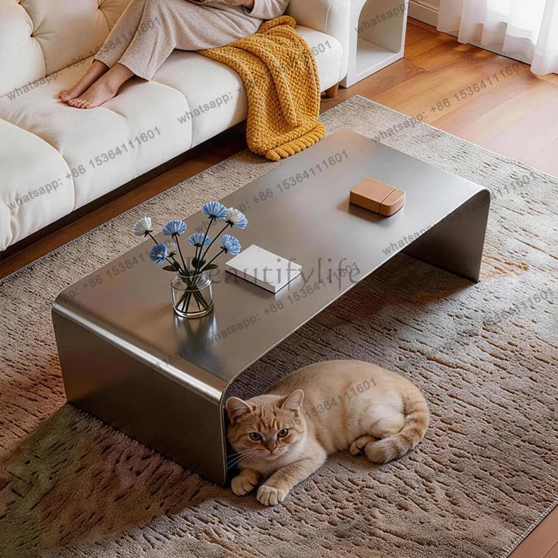 PG Bauhaus Coffee Table Living Room High-end Stainless Steel Brushed Silver Modern Simple Light Luxury Coffee Table