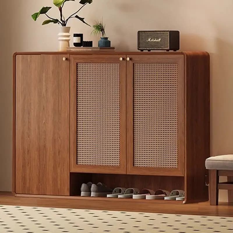 Luxury Nordic Shoe Cabinet Design Modern Aesthetic Relaxing Cheap Creative Shoe Shelf Universal Archivadores Unique Furniture