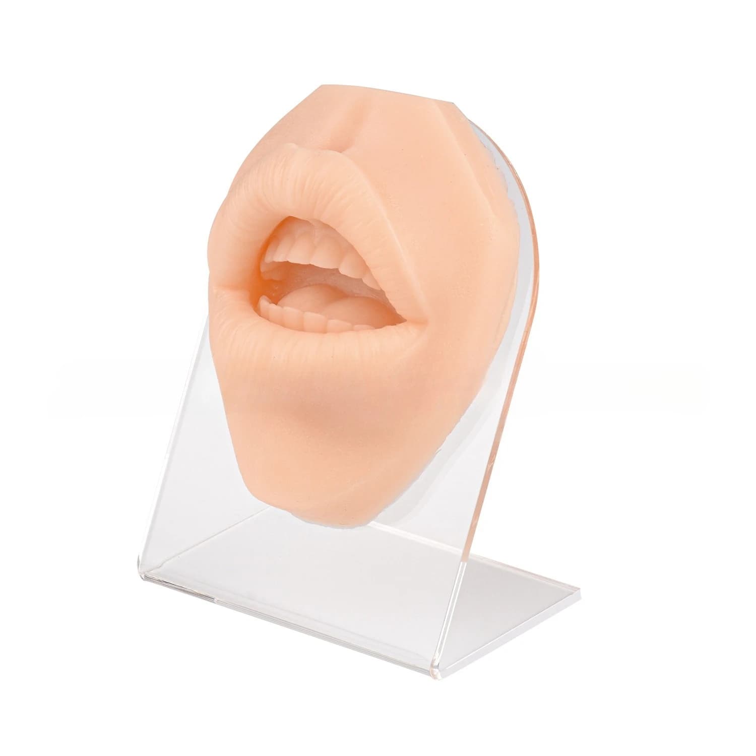 Simulated human mouth model, suture perforation and puncture practice mouth model