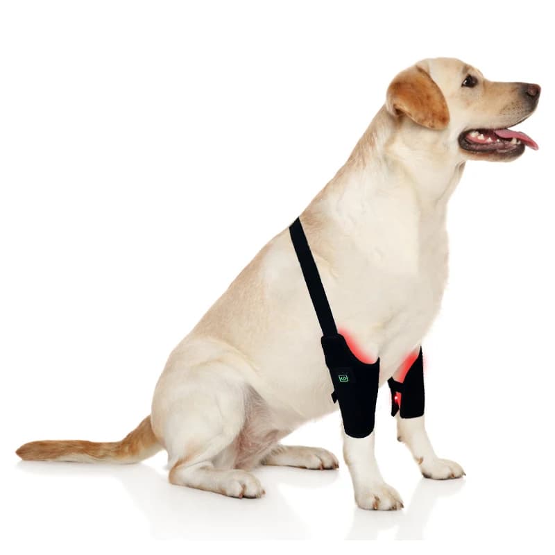 Veterinary Grade Red Light Therapy Device for Dogs Hindlimb At Home - Professional Pet Recovery Pad for Relieve Dog Leg Pressure