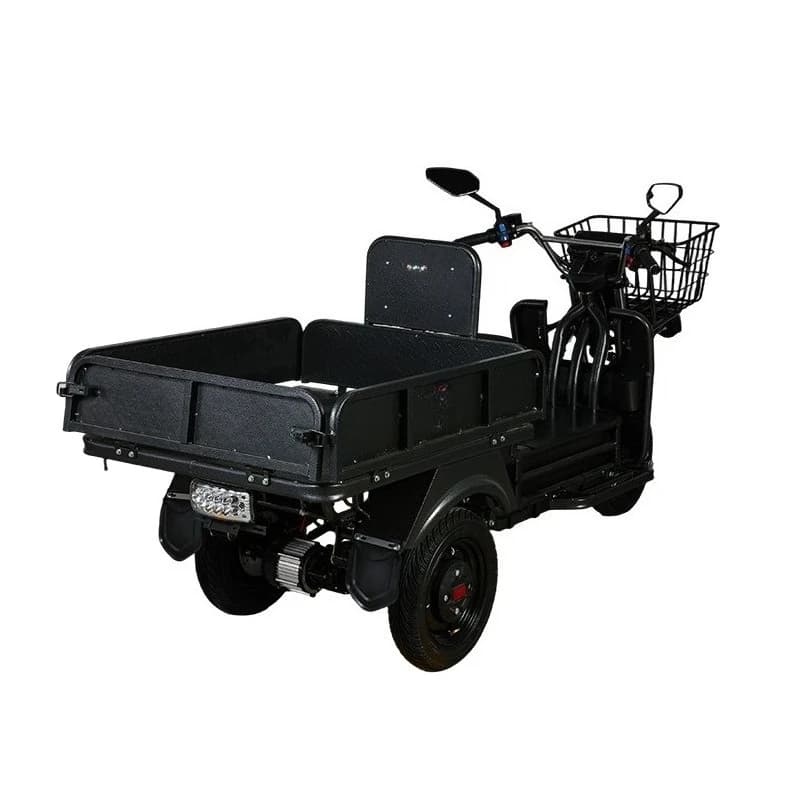China heavy-duty, cargo-pulling three-wheeled 1000W electric motorcycle tricycle