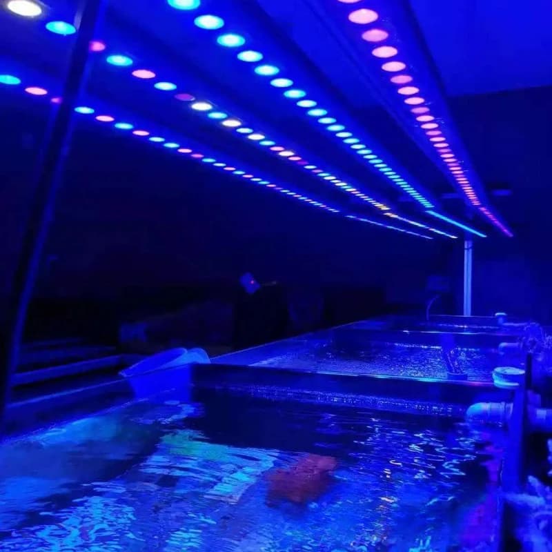 Aquarium Light Stick Landscape Intelligent Dimming Timing Full Spectrum LED Fish Tank Light