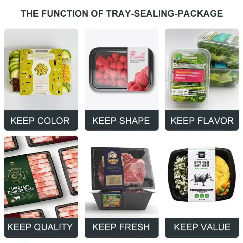 Semi-Automatic Heat Sealing Machine for Wonton Trays Frozen Dumplings And Food Packaging Wrapping Machinery