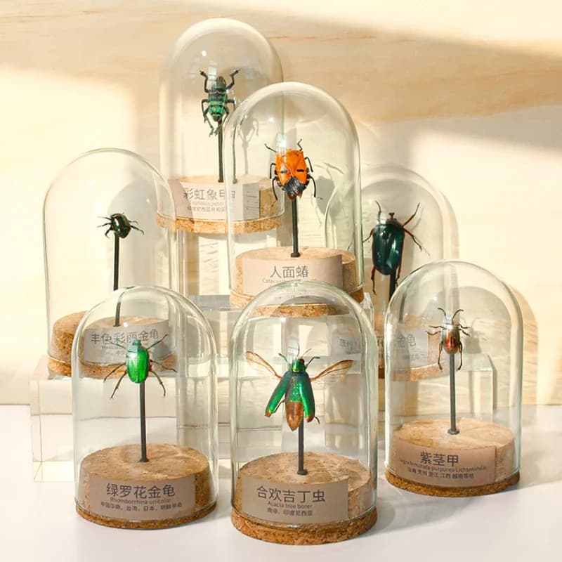 2099 Glass Jar Beetle Ornament Insect Figurine for Home Decor Wall Art Display Holiday Gift Wedding Christmas Party Supplies