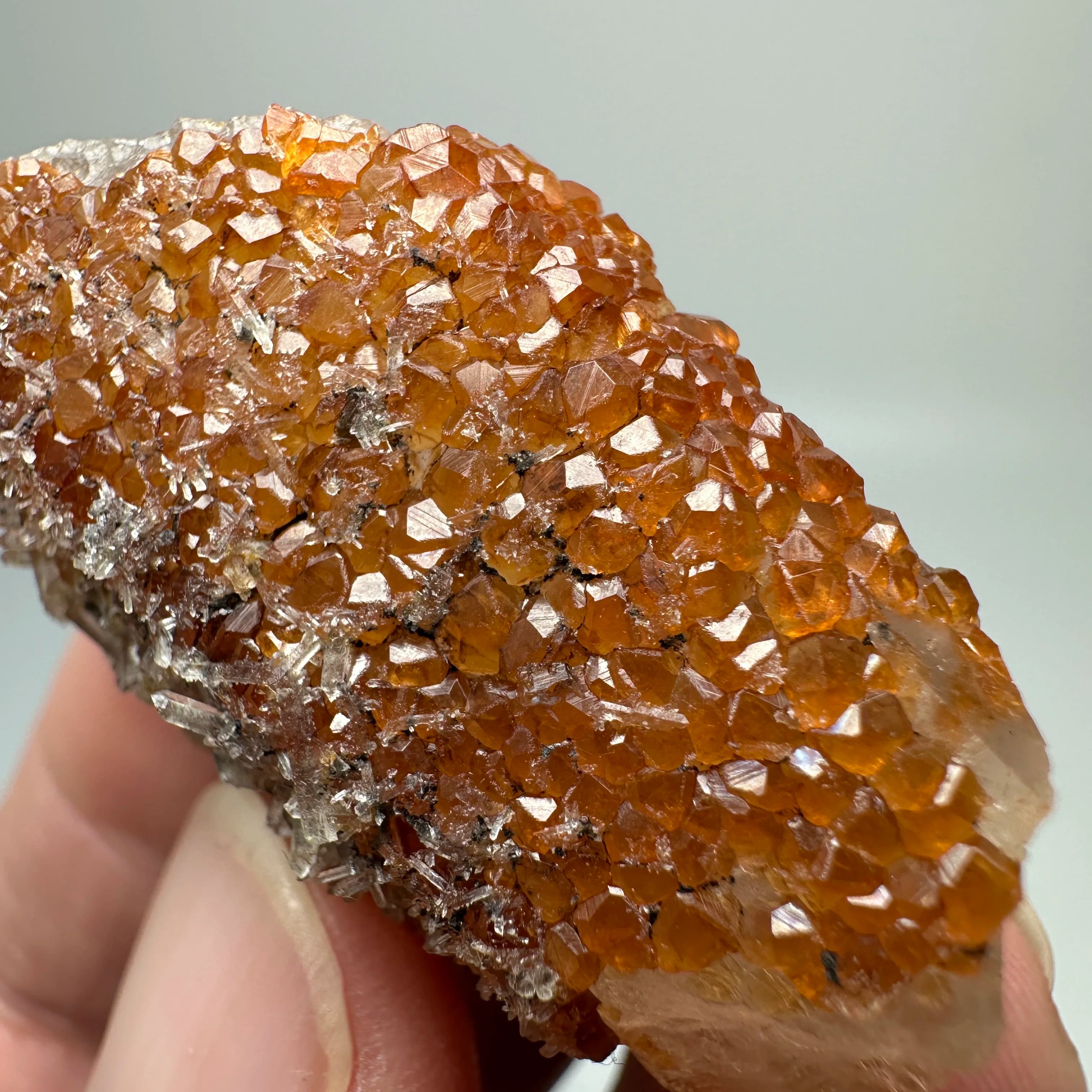 Natural rare garnet growing on tea crystal mineral specimens + healing quartz crystals and stones rock gemstone