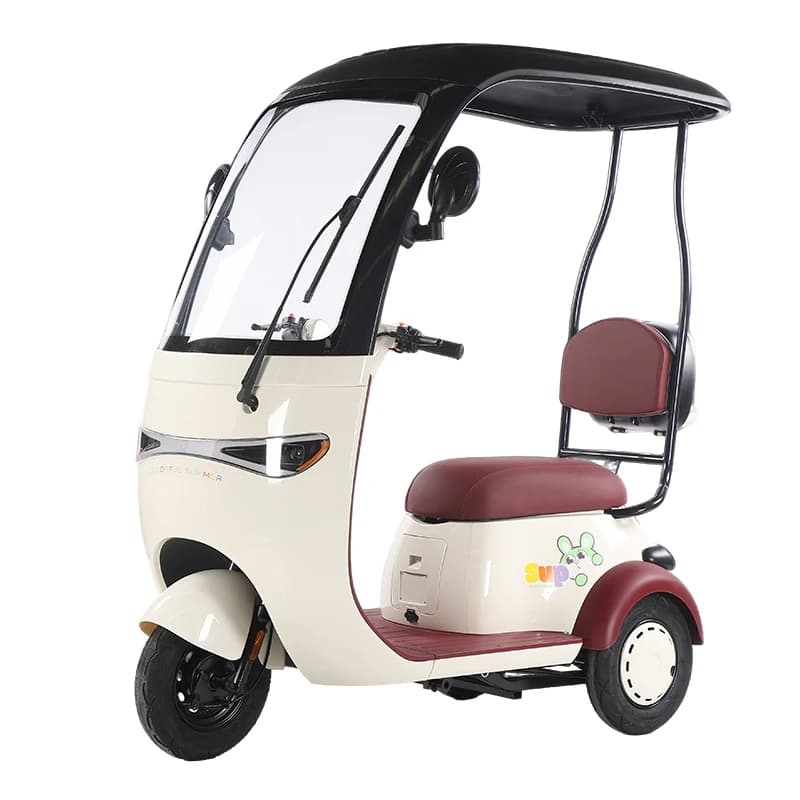 Electric tricycle household tricycle pick up and drop off children