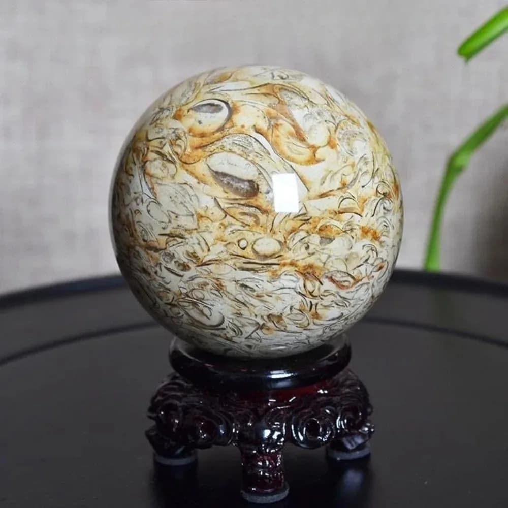Natural Polished Dinosaur Bone Sphere Crystal Stone Reiki Healing Meditation Energy Stone Home Decor Quartz Mineral