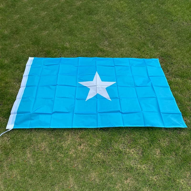 Aerlxemrbrae Flag Somalia Flag Banner 3ft X 5ft Polyester Somalia National Flag
