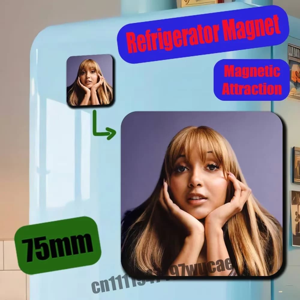 Metal Icebox Cabinet Custom Fridge Magnetic Card Case For P-PinkPantheress Singer Refrigerator Magnets