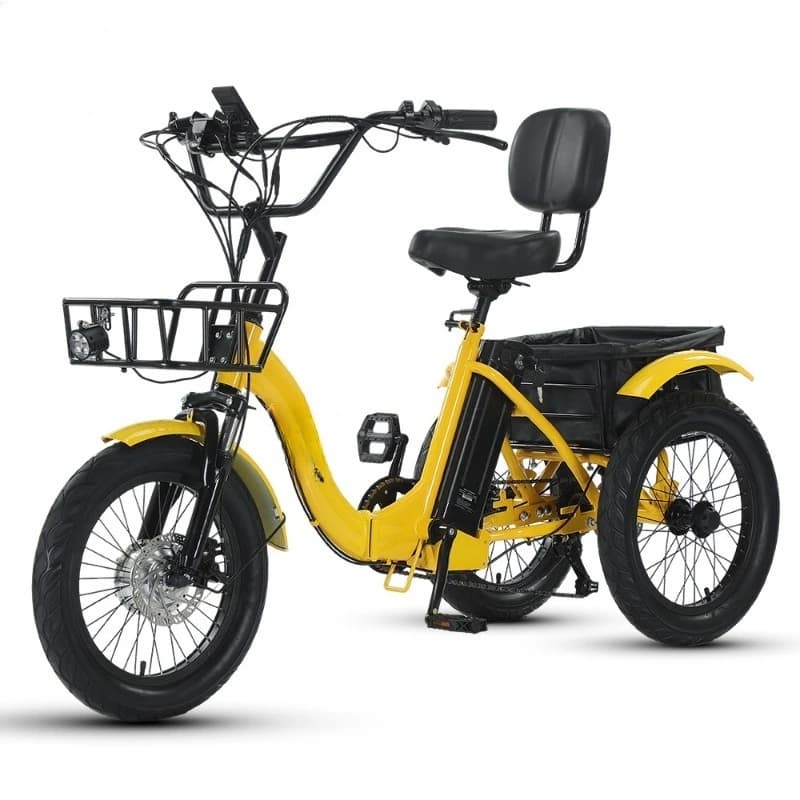 Electric Tricycle 18 Inch Traqoo Lithium Battery Powered Three Wheeler with Pedal Assist and Fat Tires for Snow