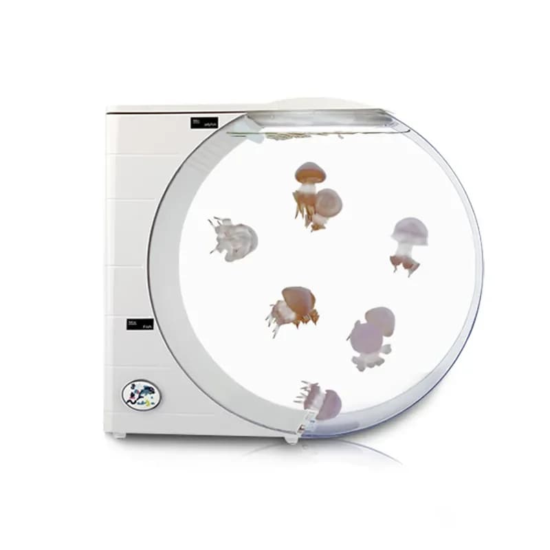 for Jellyfish Tank 10L Electronic Desktop Aquarium Ecological Fish Tank Wholesale Manufacturer Internet Celebrity Stall