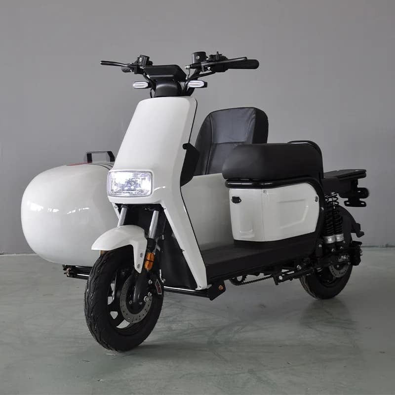 Electric vehicle sidecar tricycle baboon electric motorcycle tricycle side  tricycle