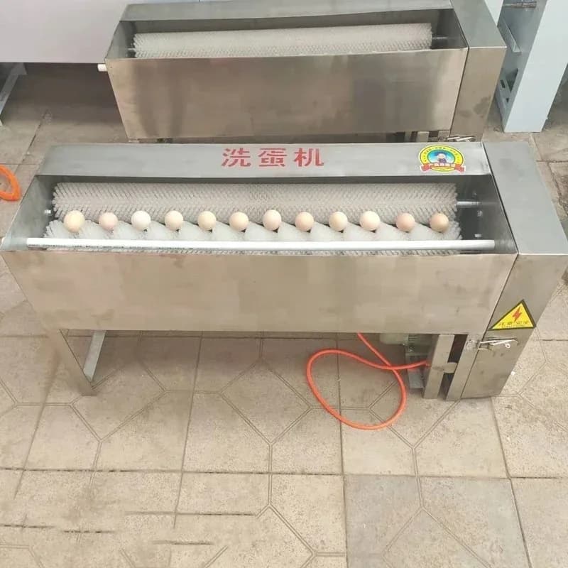 Fully Automatic Stainless Steel Washing Machine for Egg Cleaning - New Model - Duck Goose
