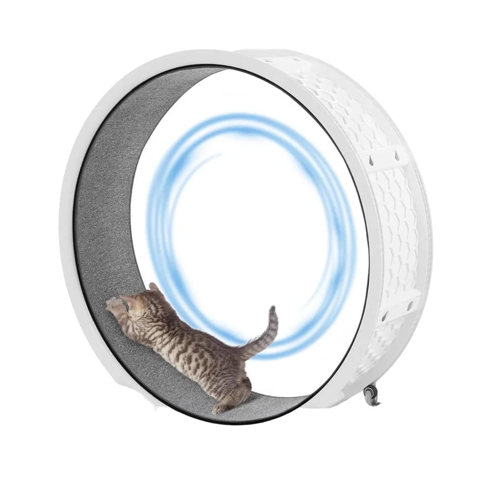 for Large Eco-Friendly Indoor Pet Fitness Workout Treadmill Fast Easy Installation Cat Exercise Wheel Pedometer Plastic