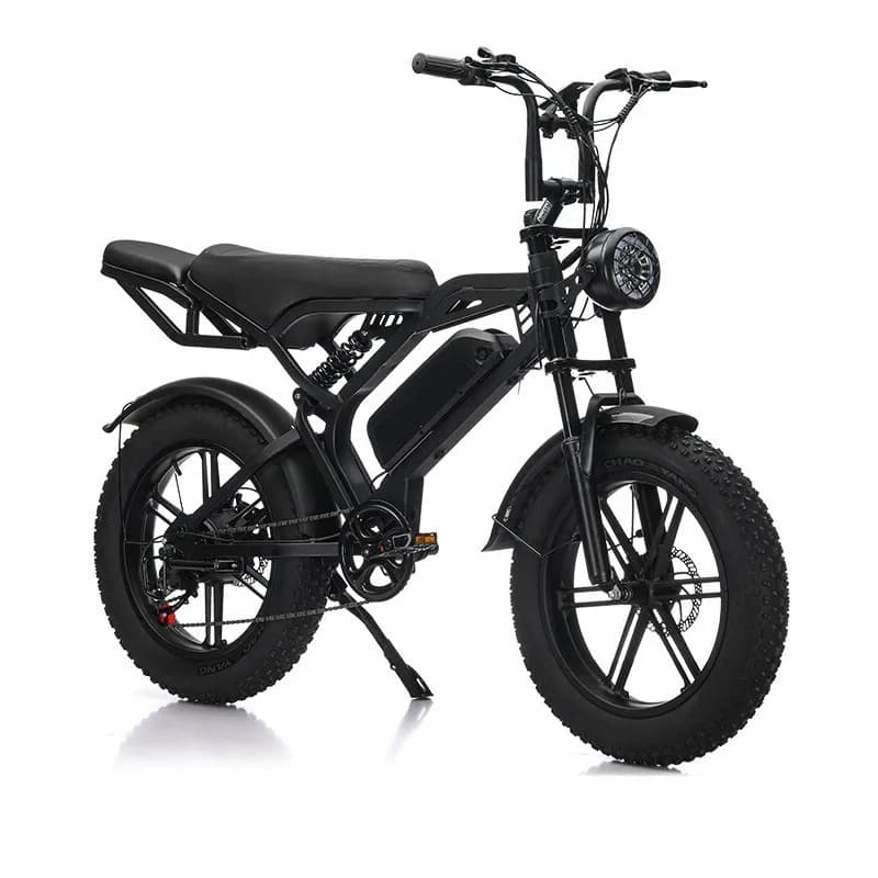 20 inch snow off-road fat tire electric power mountain bike