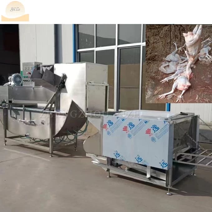 Automatic Fowl Chicken Slaughtering Machine Price Equipment in South Africa Poultry Chicken Slaughter Machine Line