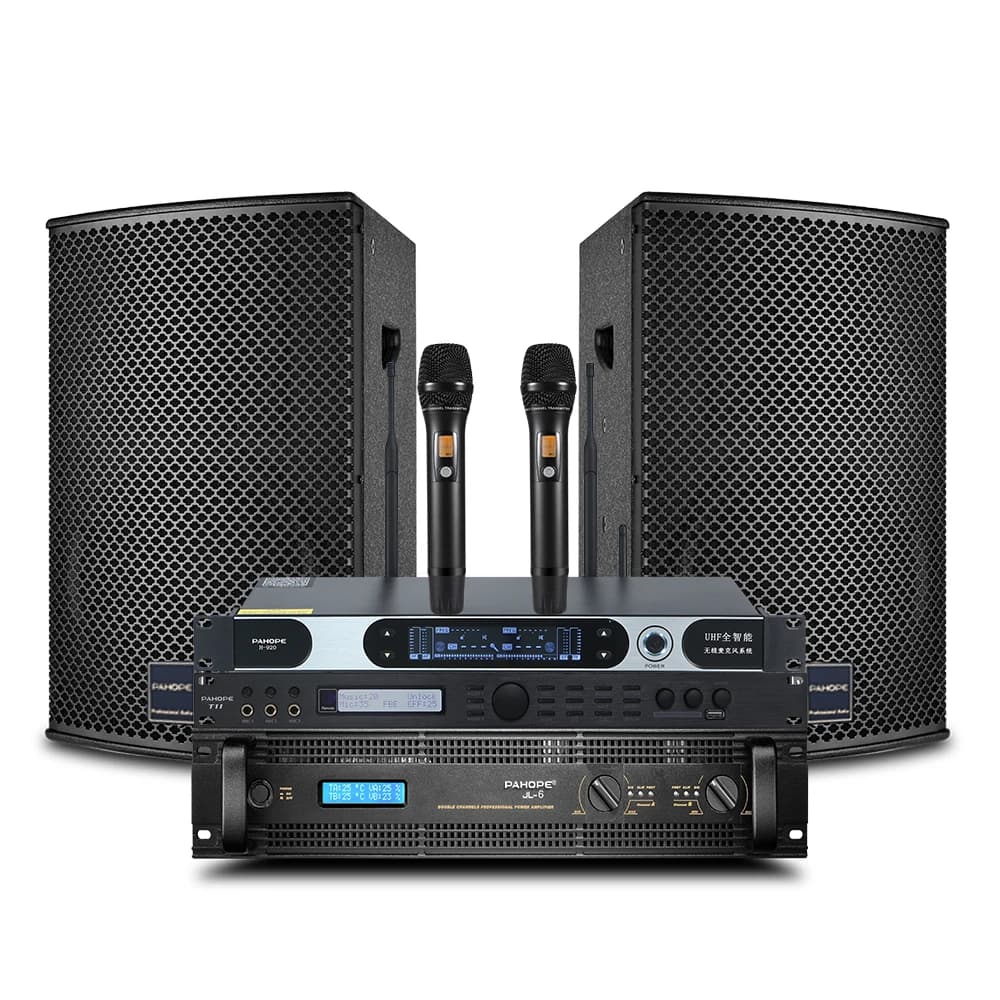 Professional 12-inch KTV Speaker Set High-end Jukebox bar Project Full Set of Equipment Speaker System