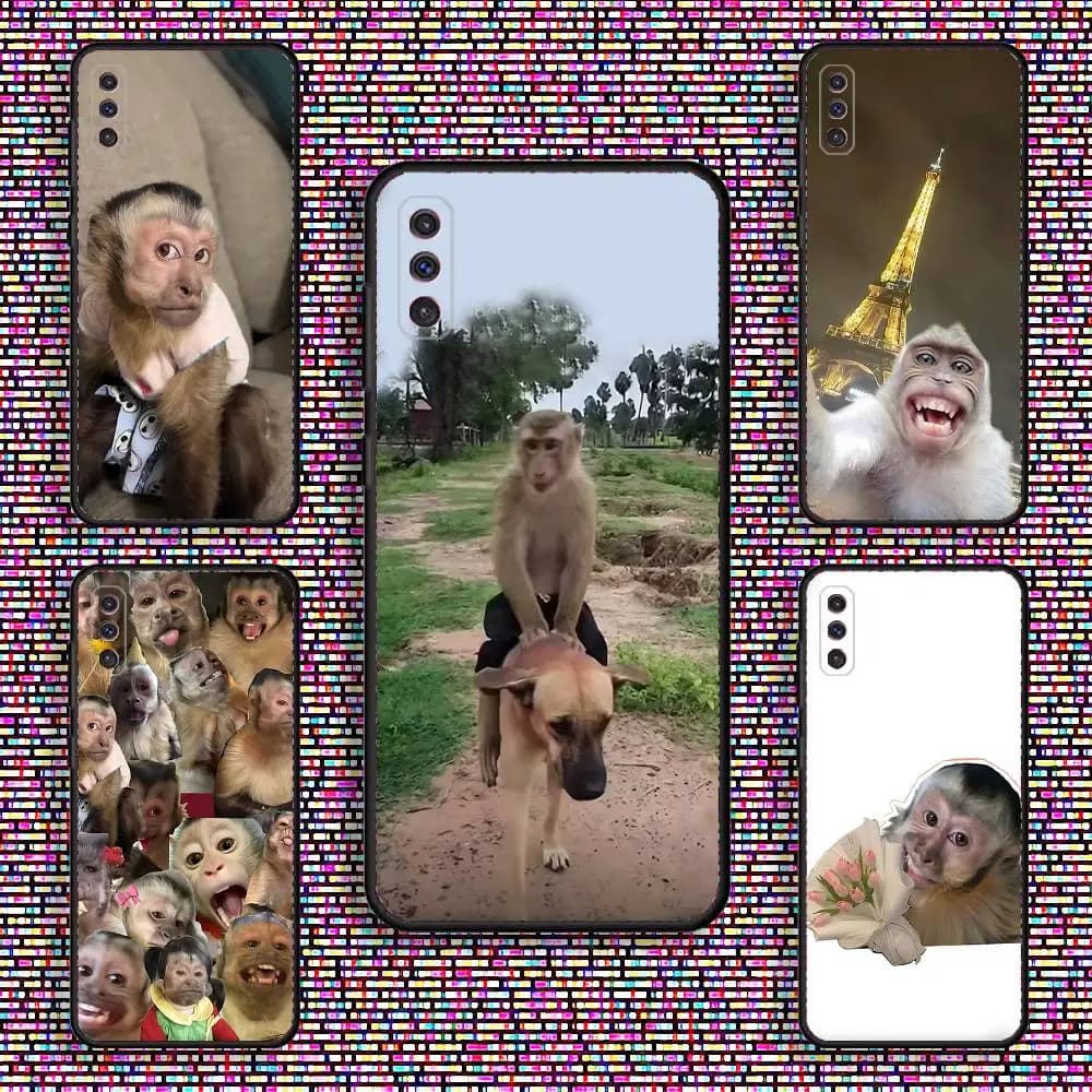 Funny Monkey Meme Phone Case For Samsung S 25,24,23,22,30,21,10,9,Ultra,Plus,Lite,FE,4,5 G Black Soft Case
