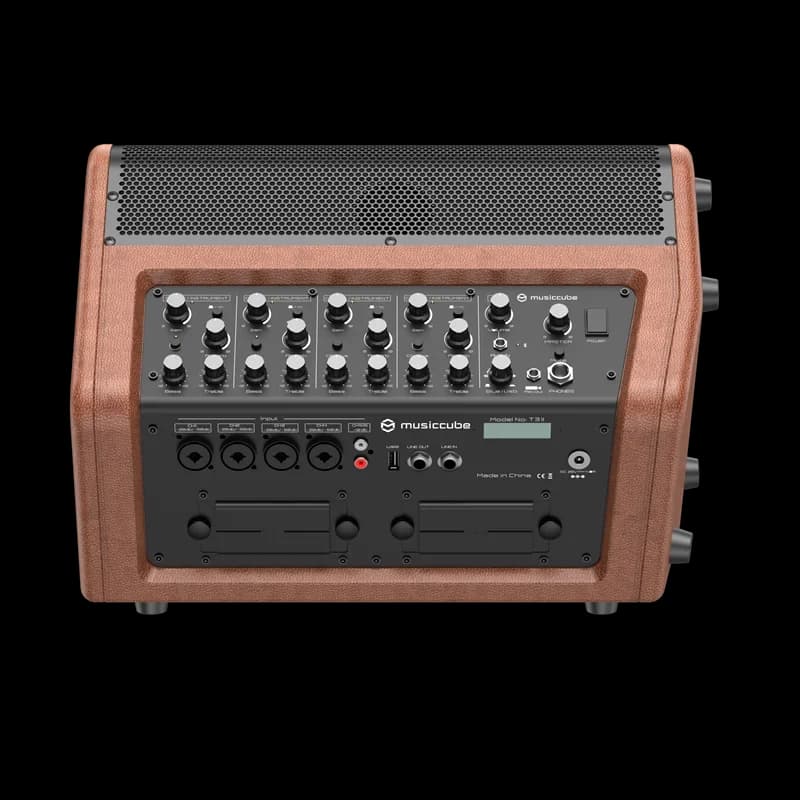 2024 New Design Gold Wooden Bluetooth High Power Portable Outdoor Speaker Service for Parties, Small Gatherings, Performances