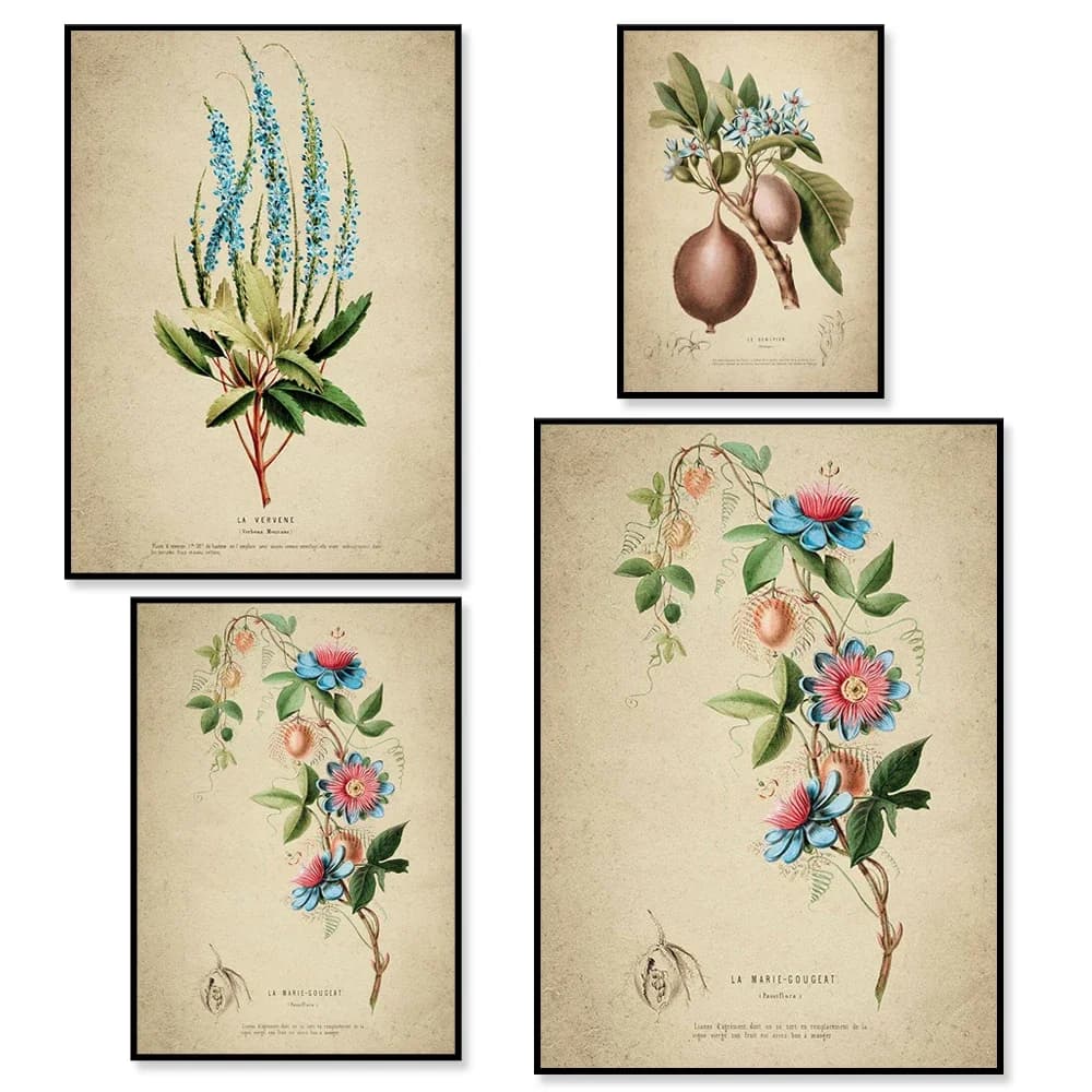 Printable Wall art, Botanical Print, Botanical prints, Flower Print, Flower Prints , Gallery Wall Prints, Art Prints