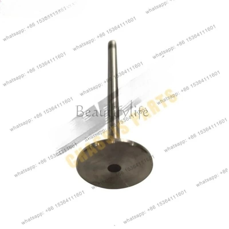 For Auto Parts (JK) 2.8T '08-16 Inlet Valve 68027469AA