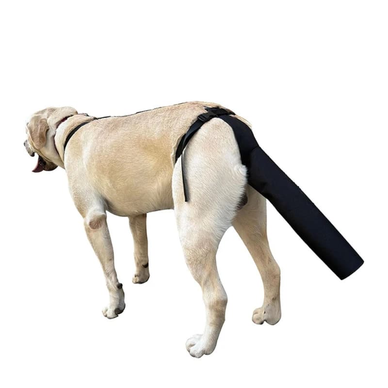 Pet dog tail protective cover Injury hair loss Beauty treatment Anti-licking and biting Adjustable protective gear