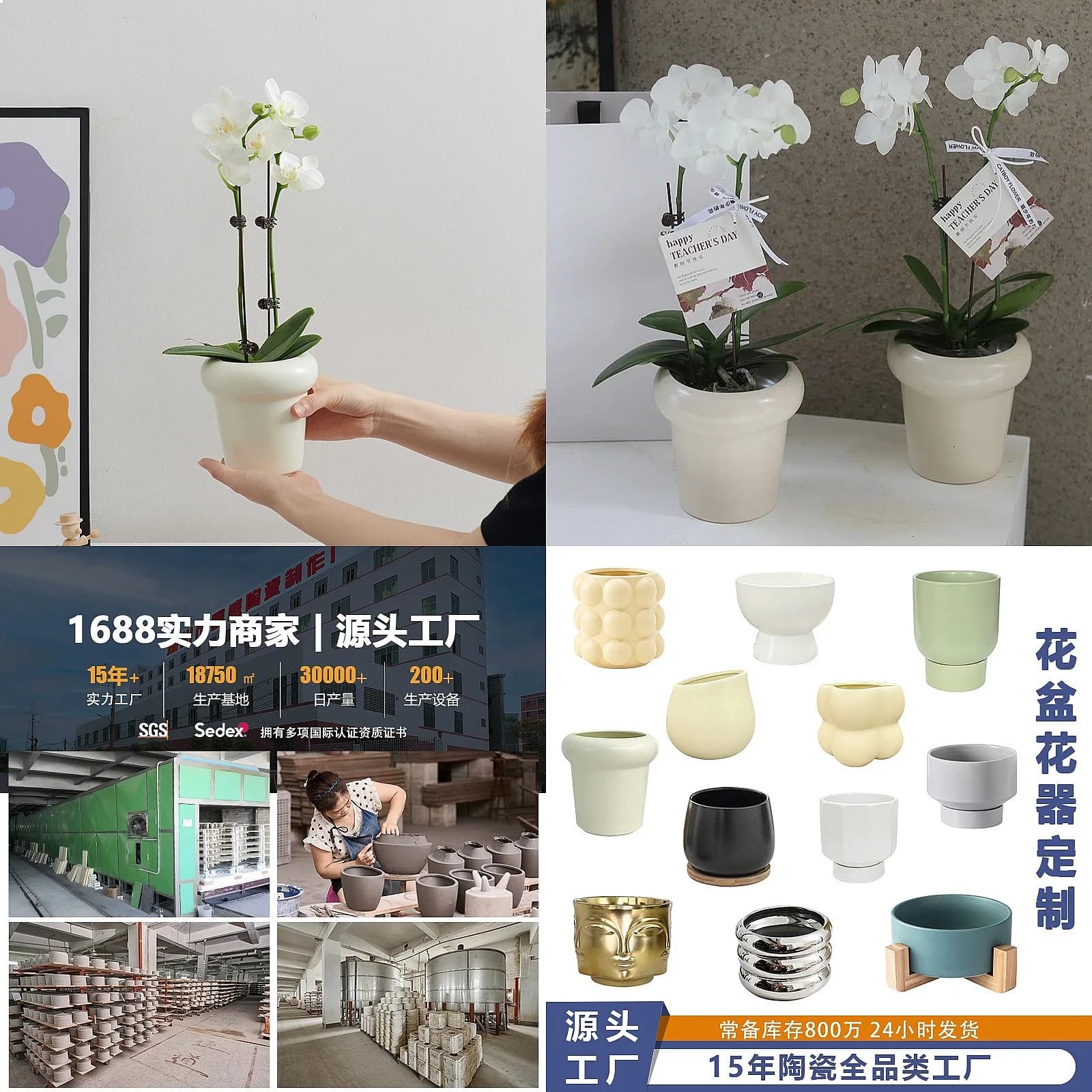 Single Stem Phalaenopsis Orchid Pot Ceramic Cream Style Desktop Office Small Potted Plant White Decorative Cachepot