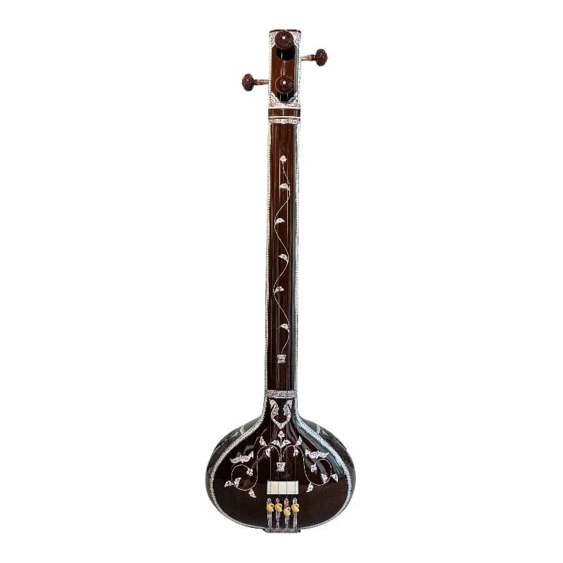 Sitar national instrument Indian sitar concert playing string small instrument