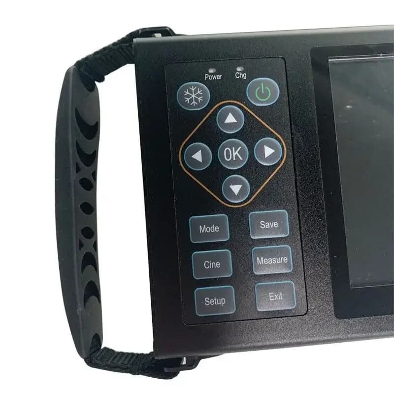 Veterinary B-ultrasound machine sow detector pig and sheep dual-use high-definition color portable tester