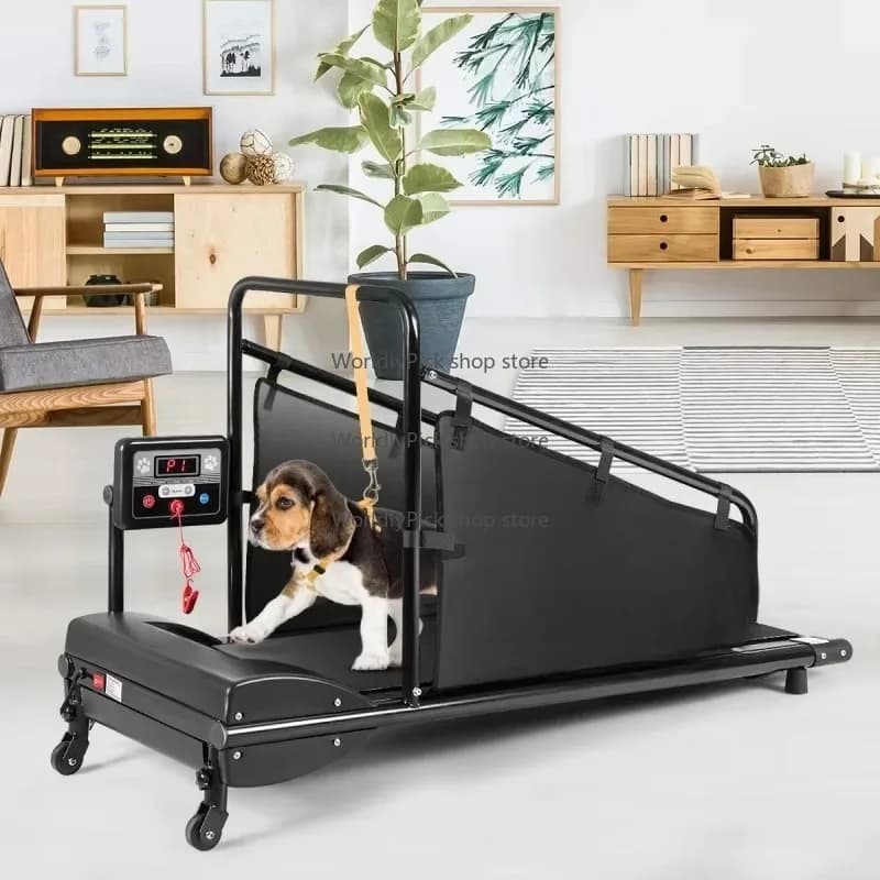 Hot Sale Electric Small Dog Treadmill Running  Walking Machine Pet Treadmill for Dogs