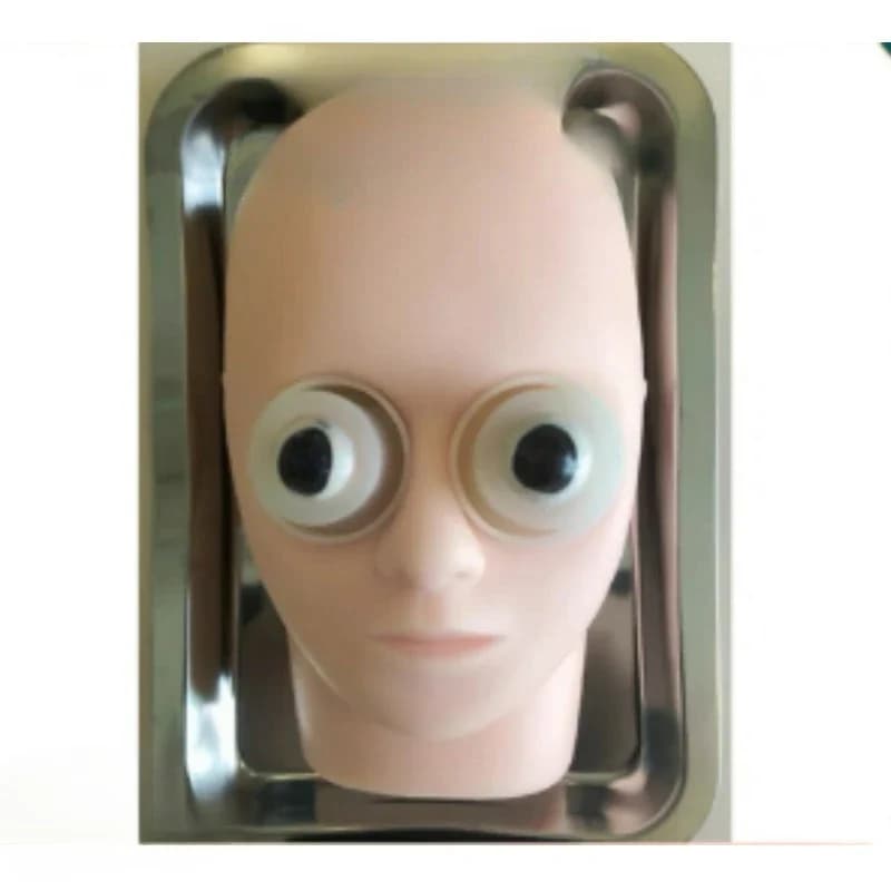 Practice Model Eye Simulator Stand for Cataract Capsulorhexis Training&Ophthalmology Study Ophthalmic Head Simulation