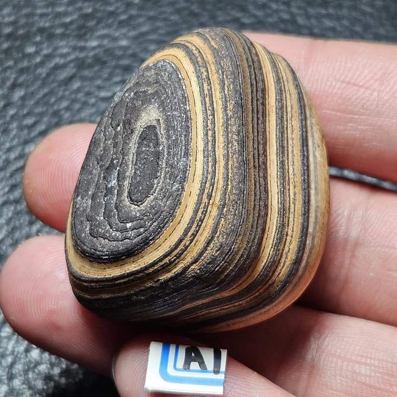 Rare Naturally Occurring Strong Magnetic Desert Surface Small Gemstone Minerals Energy Witchcraft Healing Family Decoration
