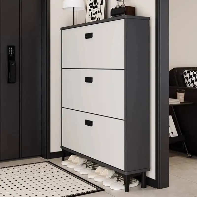 Design Entryway Shoe Cabinet Modern Hallway Luxury Apartments Room Shoe Cabinet Space Saving Schuhregal Furniture For Home