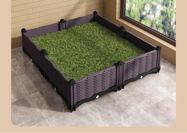 Dog urinal edge grazing golden retriever special fixed-point toilet shit potty