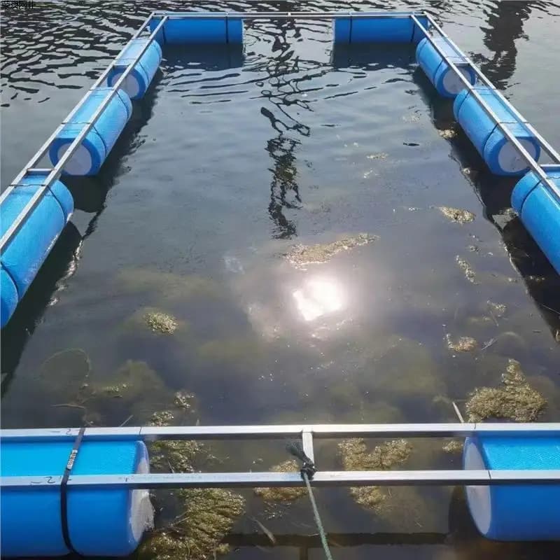 Walkway-type cage integrated culture, strong wind and wave resistance, reservoir river culture, multi-species culture