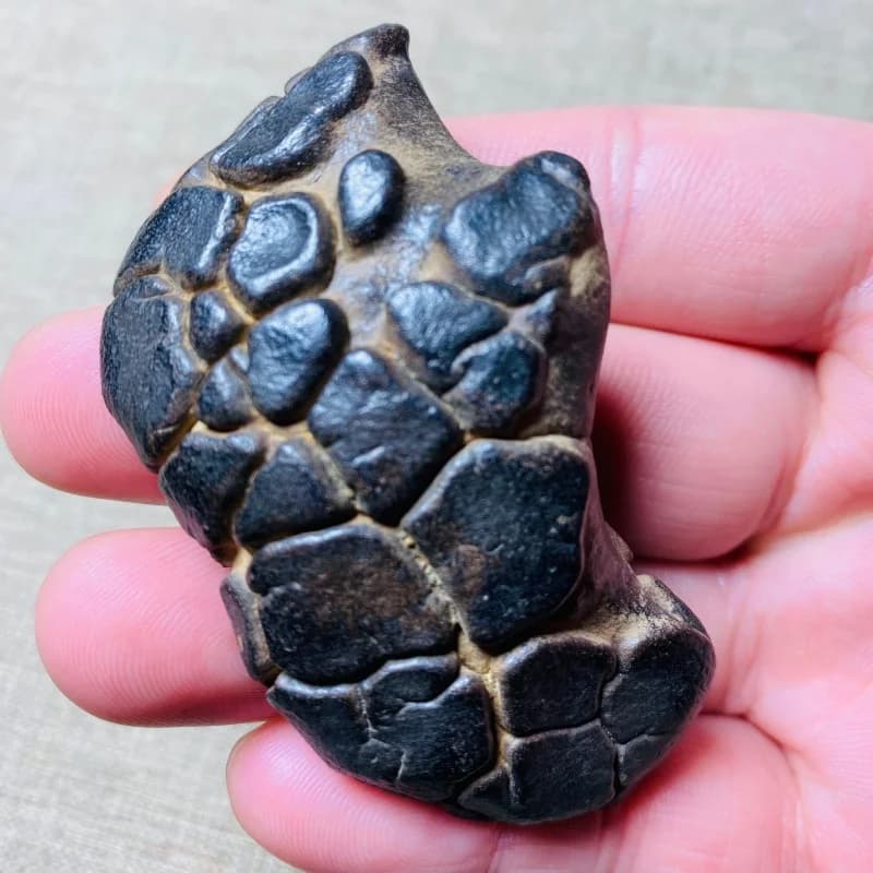 Natural Unique Mineral Collection Irregular Shape Healing Stone for Home Decoration and Energy Balancing